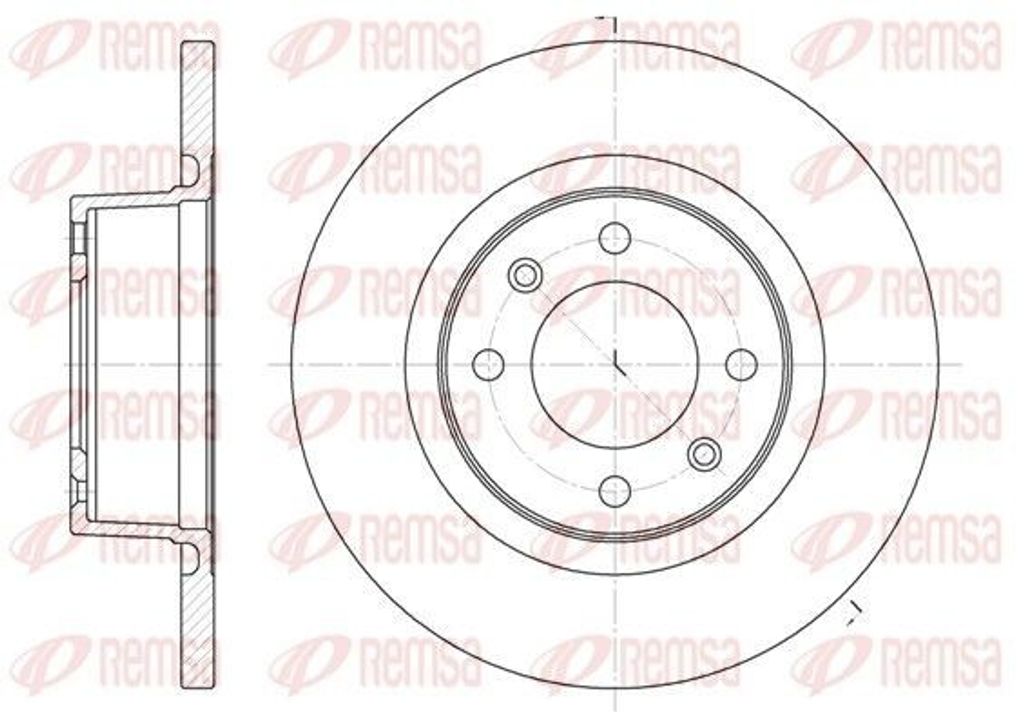 2x REMSA Bremsscheibe 6605.00 hinten für BMW X5 (E53) für CITROËN C5 I (DC_)