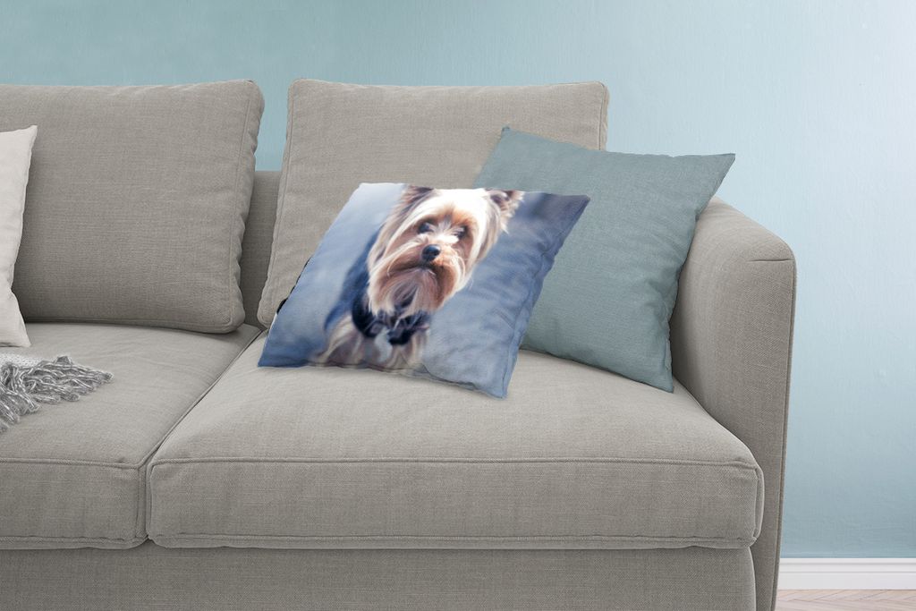 MuchoWow Zierkissen Sofakissen Wohnzimmer Dekokissen 60x40 cm Nahaufnahme eines Yorkshire Terriers - Kopfkissen - Polster mit Foto