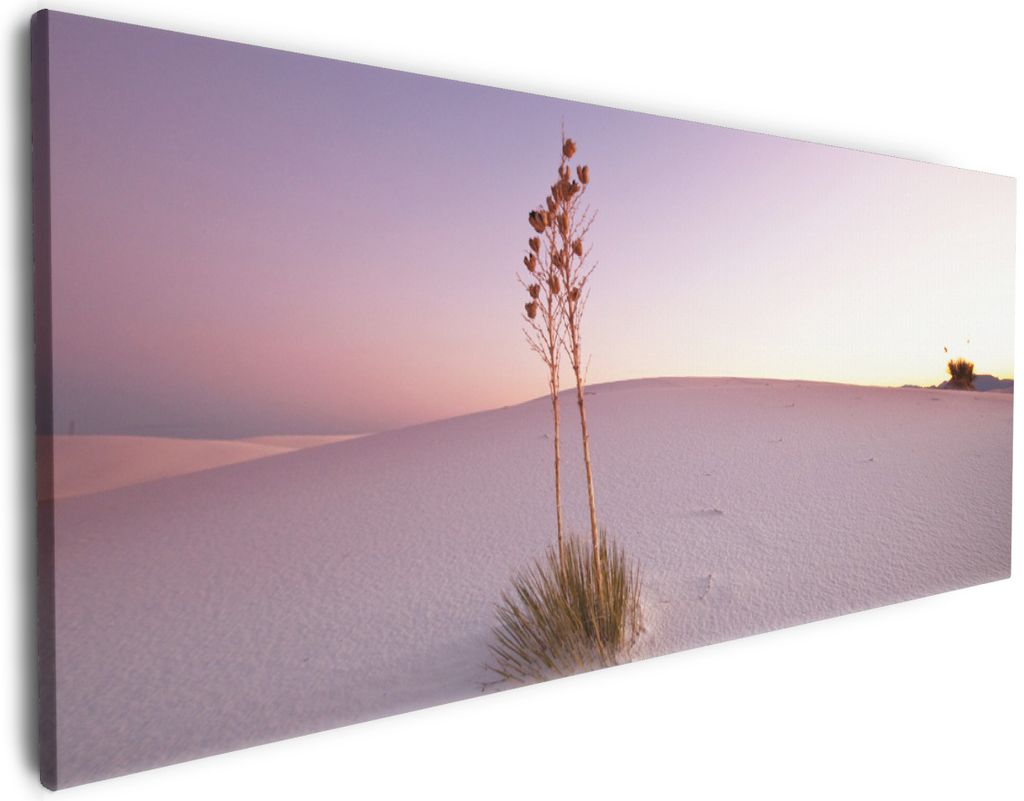 Wallario Premium Leinwandbild Kleine Oase in der Wüste in Größe 80 x 200 cm