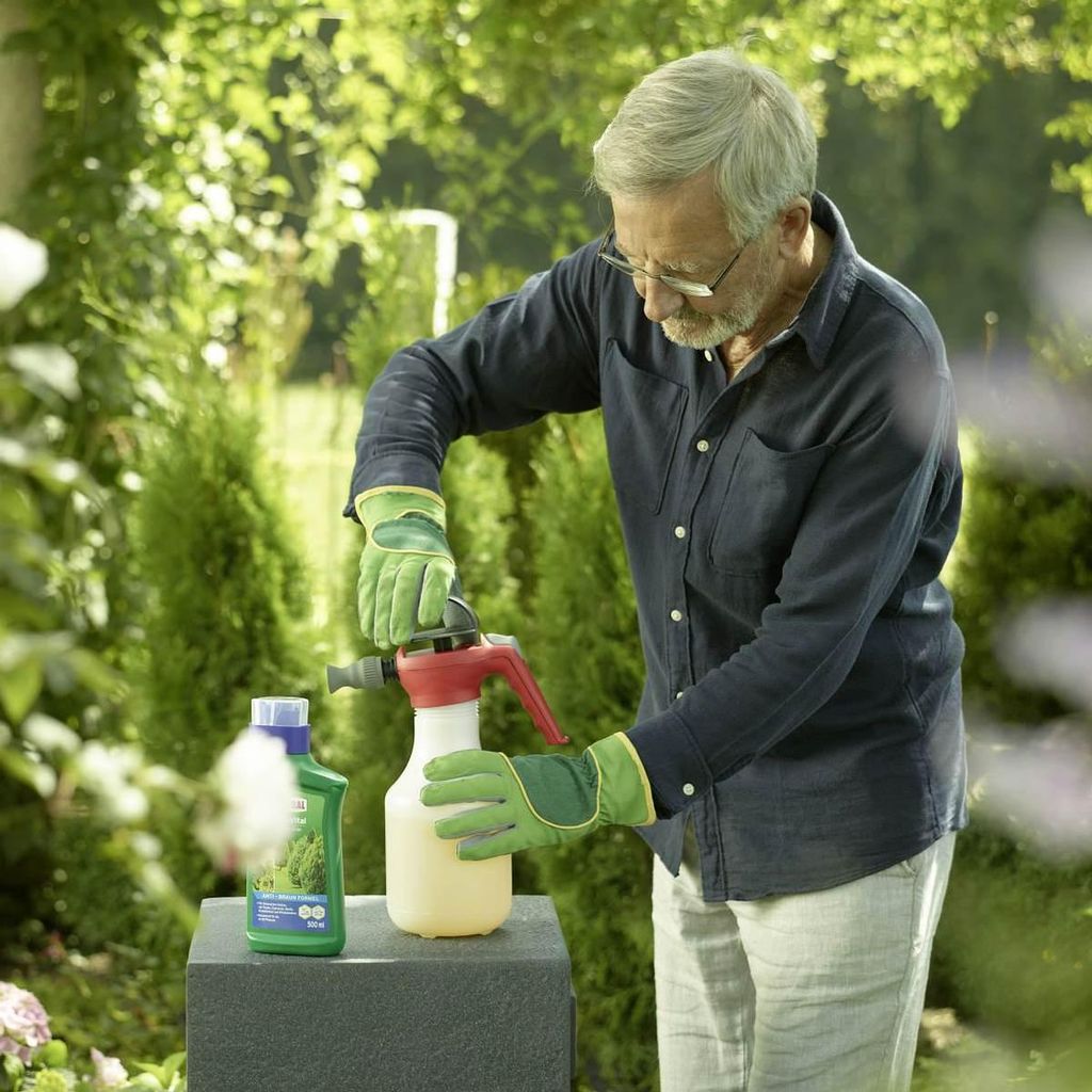 smaragd thuja dnger Thuja Dnger | perfekt gedngte Koniferen-Pflanzen!