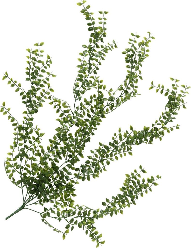Boltze Gruppe Kunstpflanze Penstemon campanulatus 90cm