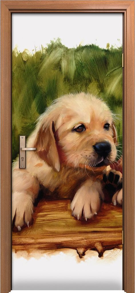 Türposter 80x200 cm Türaufkleber Türtapete Türfolie Klebefolie Wand Kunst Malen Hunde Gras Tiere