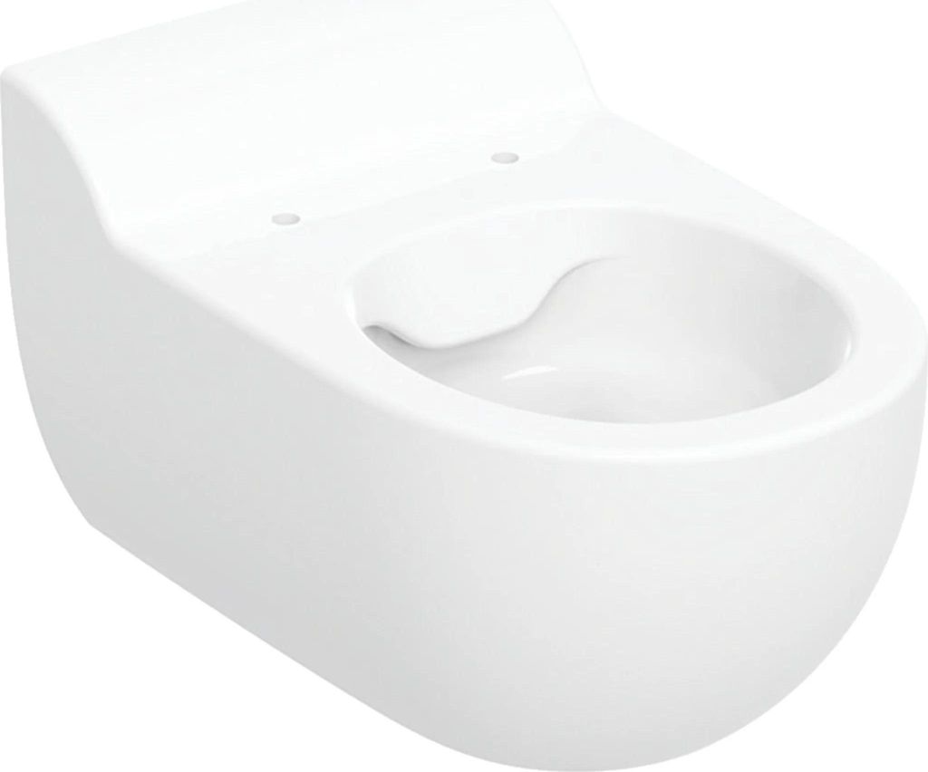 Geberit Bambini WWC-T, H35 Rimfree, 1 Stk.