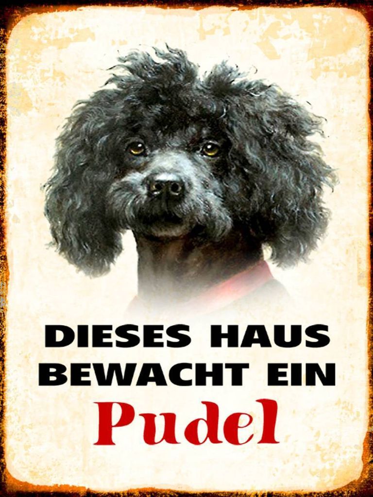 vianmo Holzschild 40x30 cm Hund dieses Haus bewacht ein Pudel