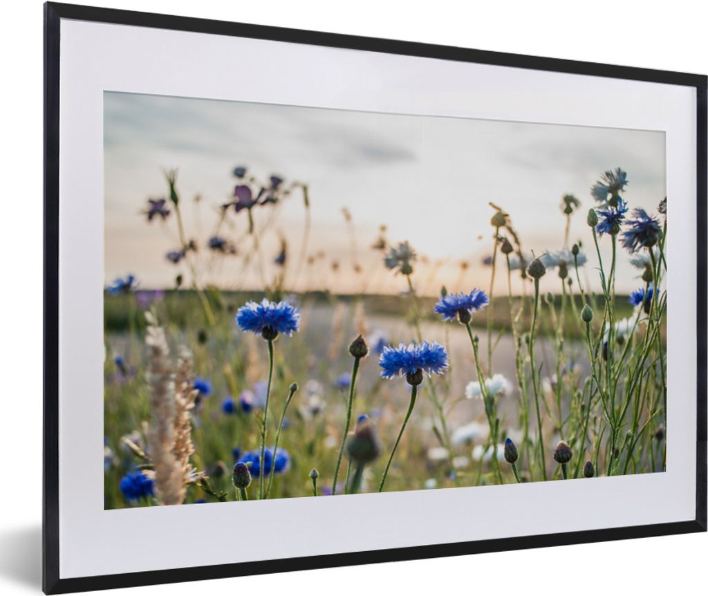 MuchoWow Gerahmtes Poster Blumen - Sommer - Kornblume - Blau - Sonne - Wolken 60x40 cm - Poster mit Schwarzem Bilderrahmen Wandposter Rahmen Foto...