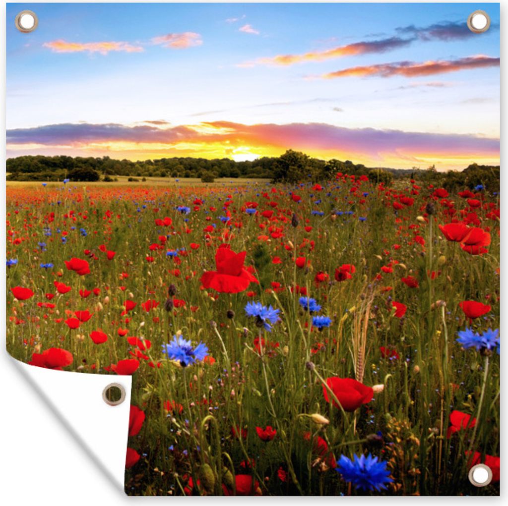 MuchoWow 100x100 cm Outdoor-Poster Gartendeko Sichtschutz Garten Poster für den Garten Blumenwiese - Mohnblumen - Rot