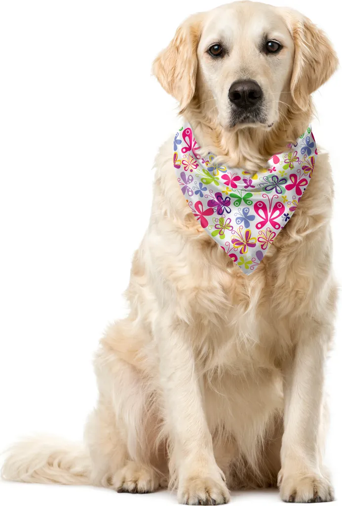 Accessorio Pet ABAKUHAUS Bandana Multicolore Farfalle 55x55 cm