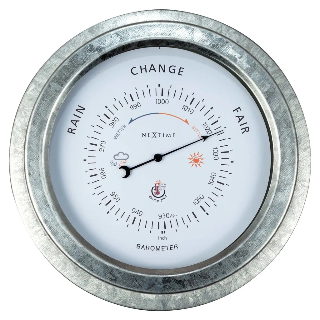 Baromètre NeXtime Orchid 4303GA Argent : Fini les Panne de Batterie