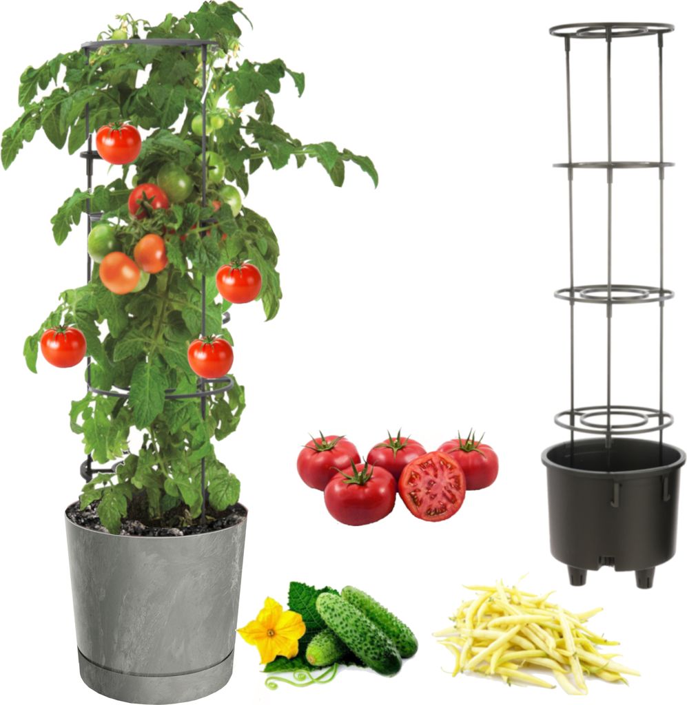 Tomatentopf, Tomatenpflanze Pflanzkübel, Topf zur Anzucht von Kletterpflanzen, Gemüsetopf, Übertopf, Gurken, Bohnen, Ø40 cm grauer beton,Kunsts...