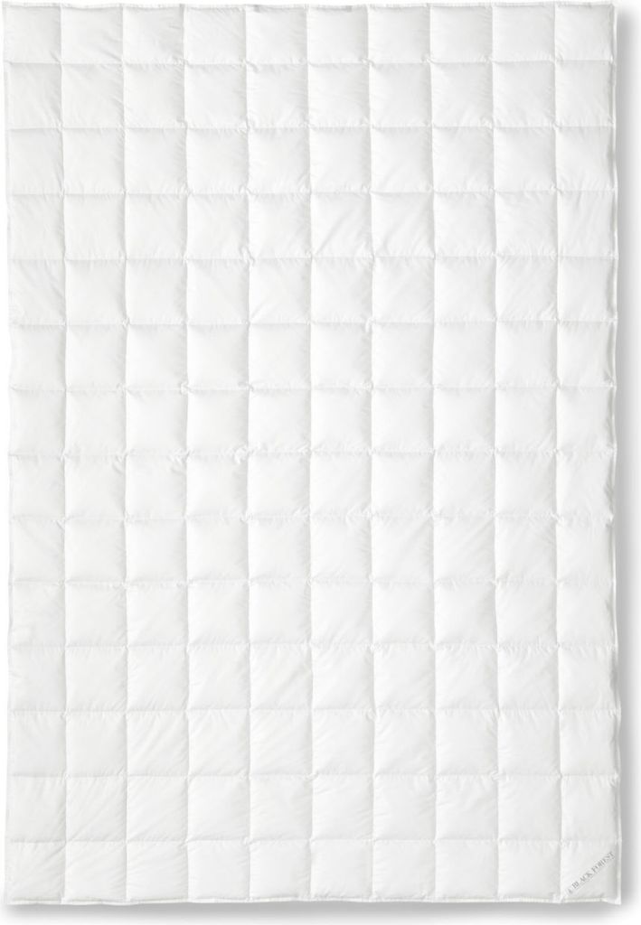 OBB Black Forest Gänsedaunen-Einziehdecke Sommerdecke Ava leicht Größe 135x200 cm