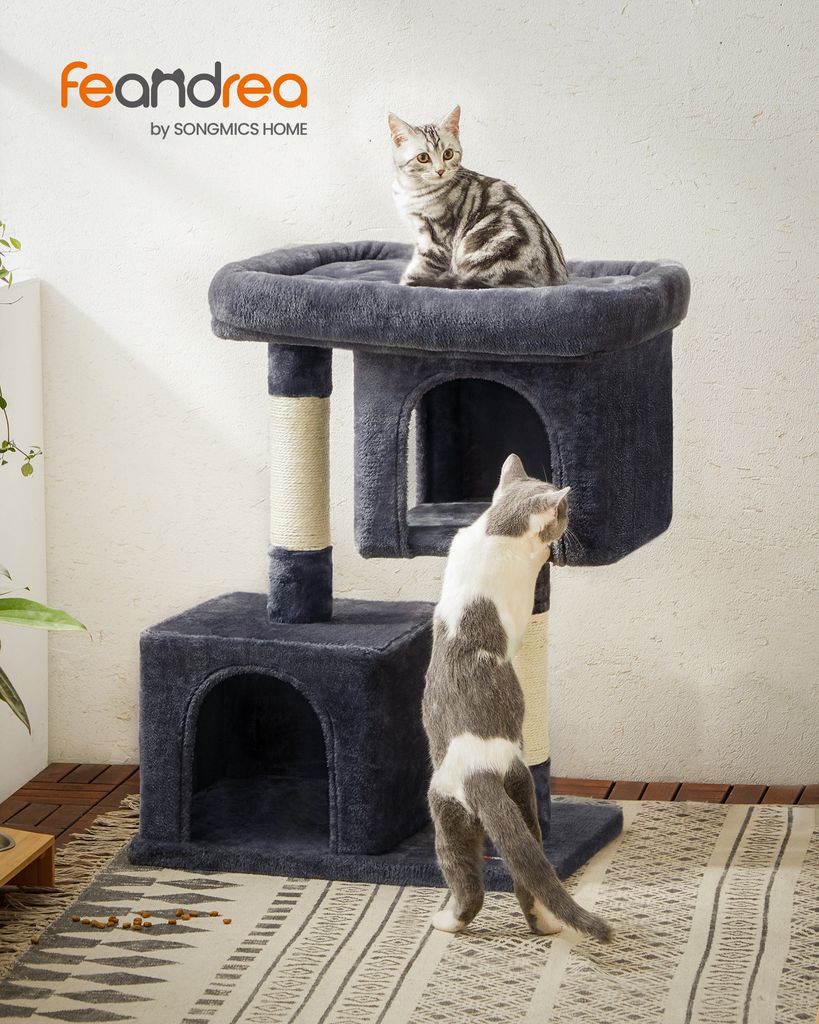 Two cats interact with a multi-level cat tree in a home setting.