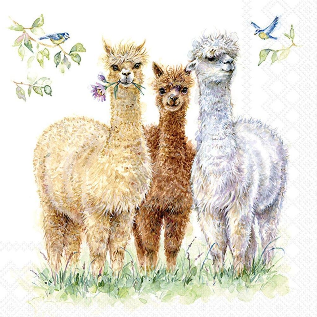 Servietten 33x33 cm - Alpaca friends Produktbild 
