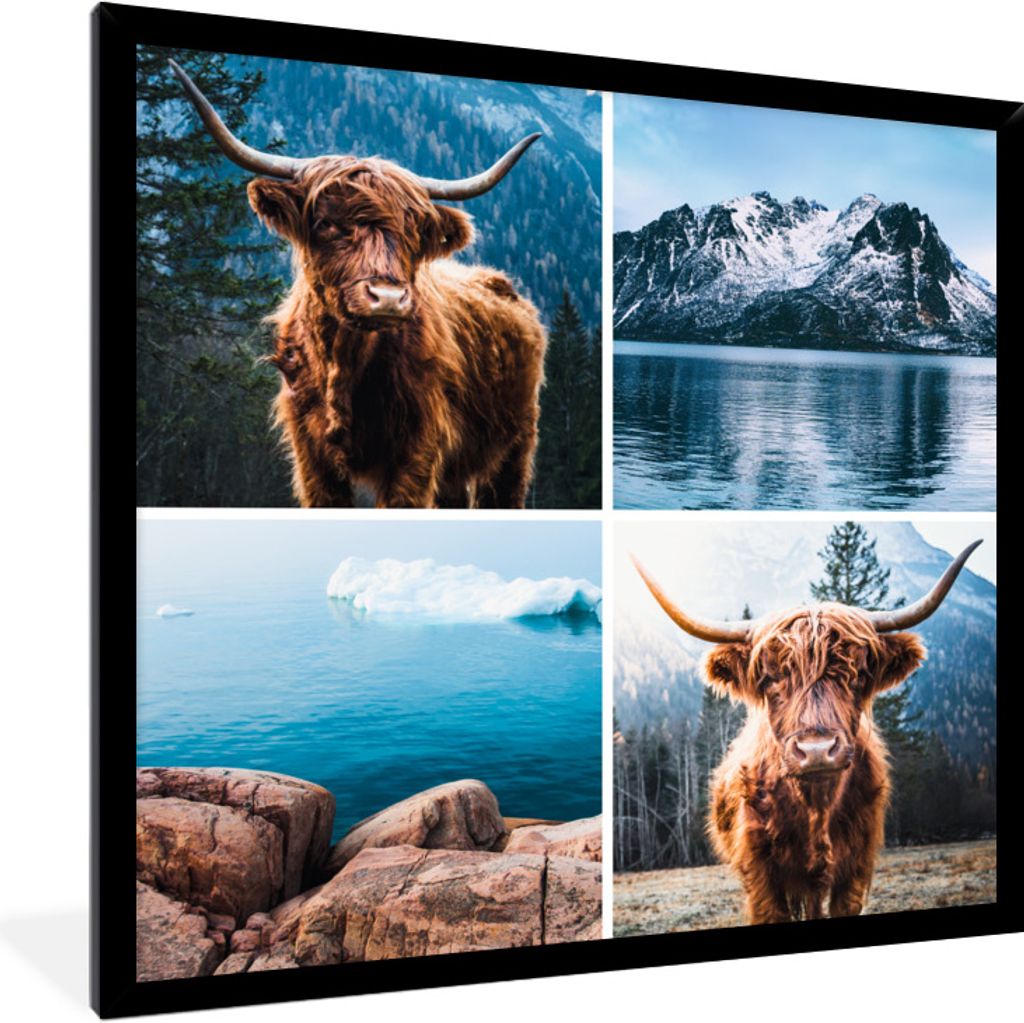 MuchoWow Gerahmtes Poster Schottischer Highlander - Berg - Collage 40x40 cm - Poster mit Schwarzem Bilderrahmen Wandposter Rahmen Foto Bilder - M...