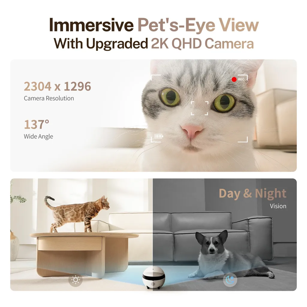 ROLA Mini Caméra Interactive pour Chat avec Jouet Canne à Pêche et Pile - 9