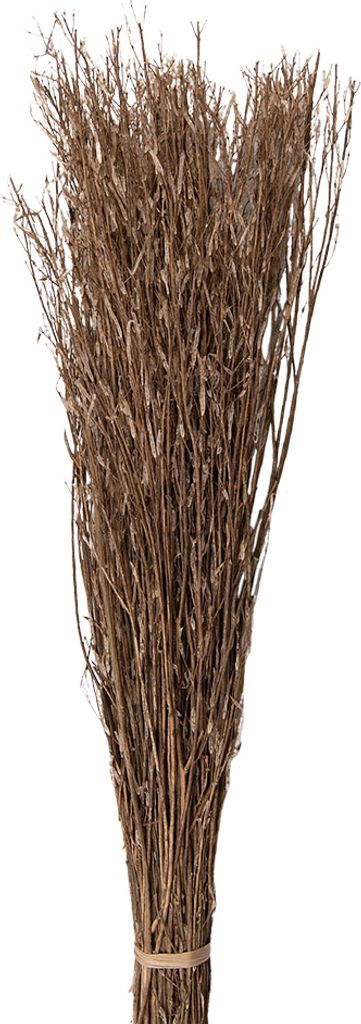 Clayre & Eef Trockenblumen 80 cm Beige Trockenblumen