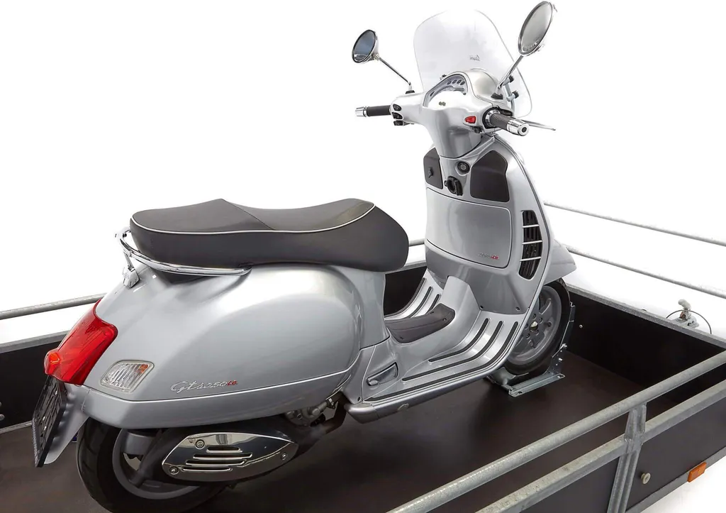Support de Transport Scooter pour Remorque - Acebikes SteadyStand Fixe - 16