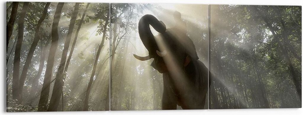 Bild auf Leinwand - Leinwandbild - Elefant Dschungel - 150x50cm - Wand Bild - Wanddeko - Leinwanddruck - Bilder - Kunstdruck - Wanddekoration - Lei...