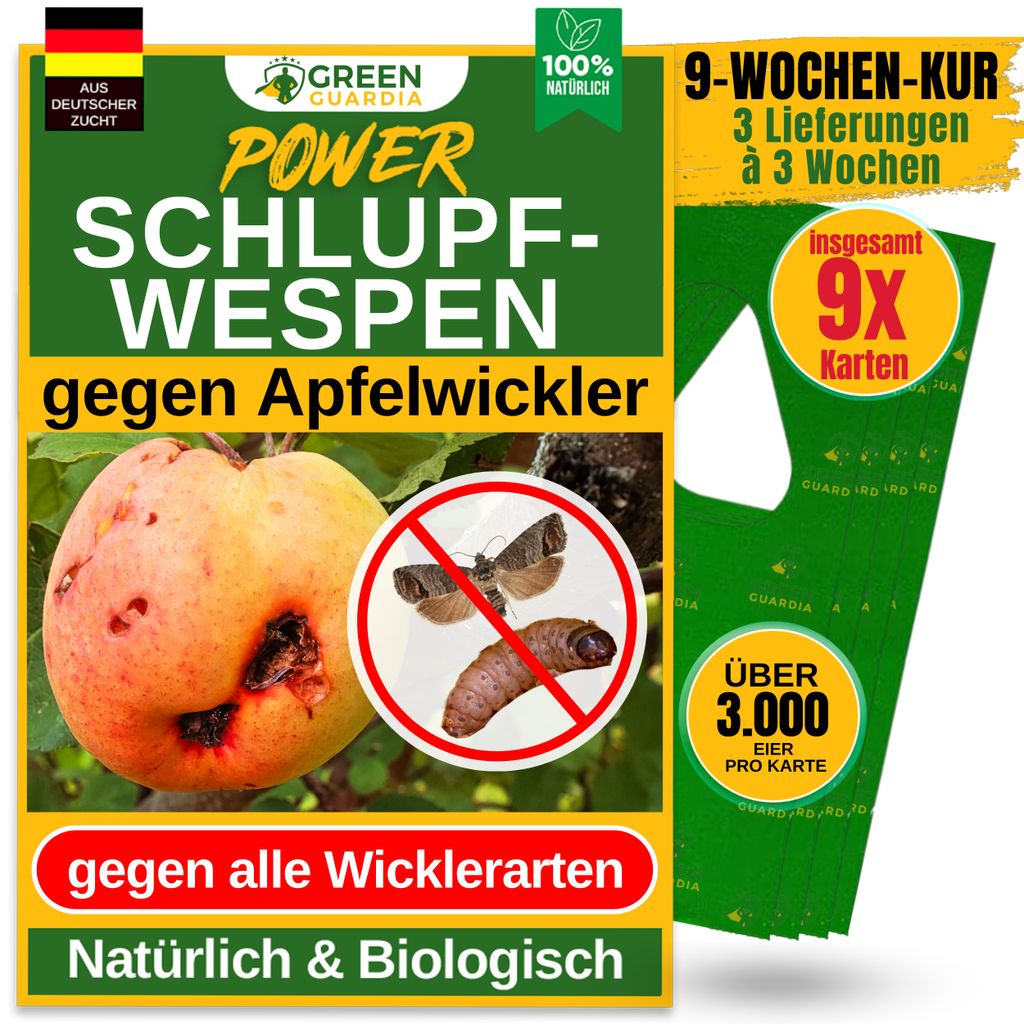 Green Guardia Schlupfwespen gegen Apfelwickler -3x Karten 3x Lieferung- Biologisches Mittel gegen Apfelwickler, Chemiefrei Apfelwickler bekämpfen
