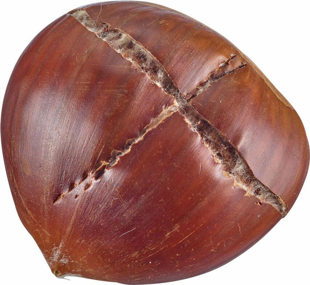 FACKELMANN Maronenschneider 17cm - Edelstahl Klinge