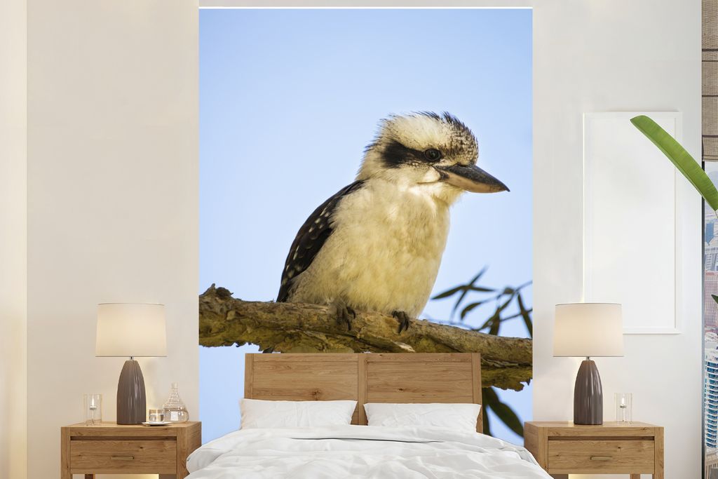 MuchoWow Fototapete für Wohnzimmer oder Schlafzimmer Wandtapete Vinyl Motivtapete Ein weißer Kookaburra sitzt auf einem Baum in Australien - 17...