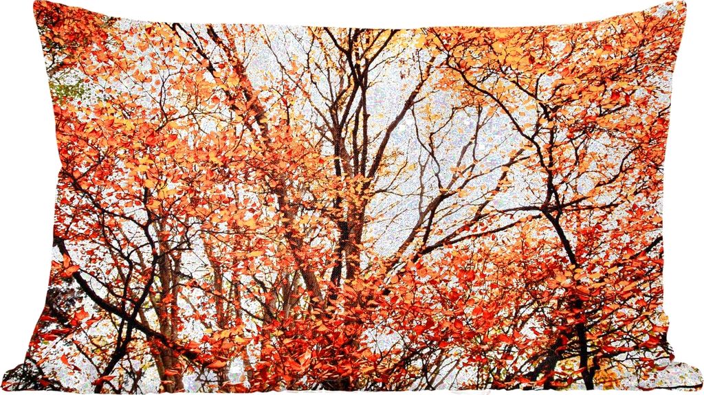 MuchoWow Zierkissen Sofakissen Wohnzimmer Dekokissen 50x30 cm Wald - Herbst - Jahreszeiten - Wohnzimmerdekoration - Polster mit Photo