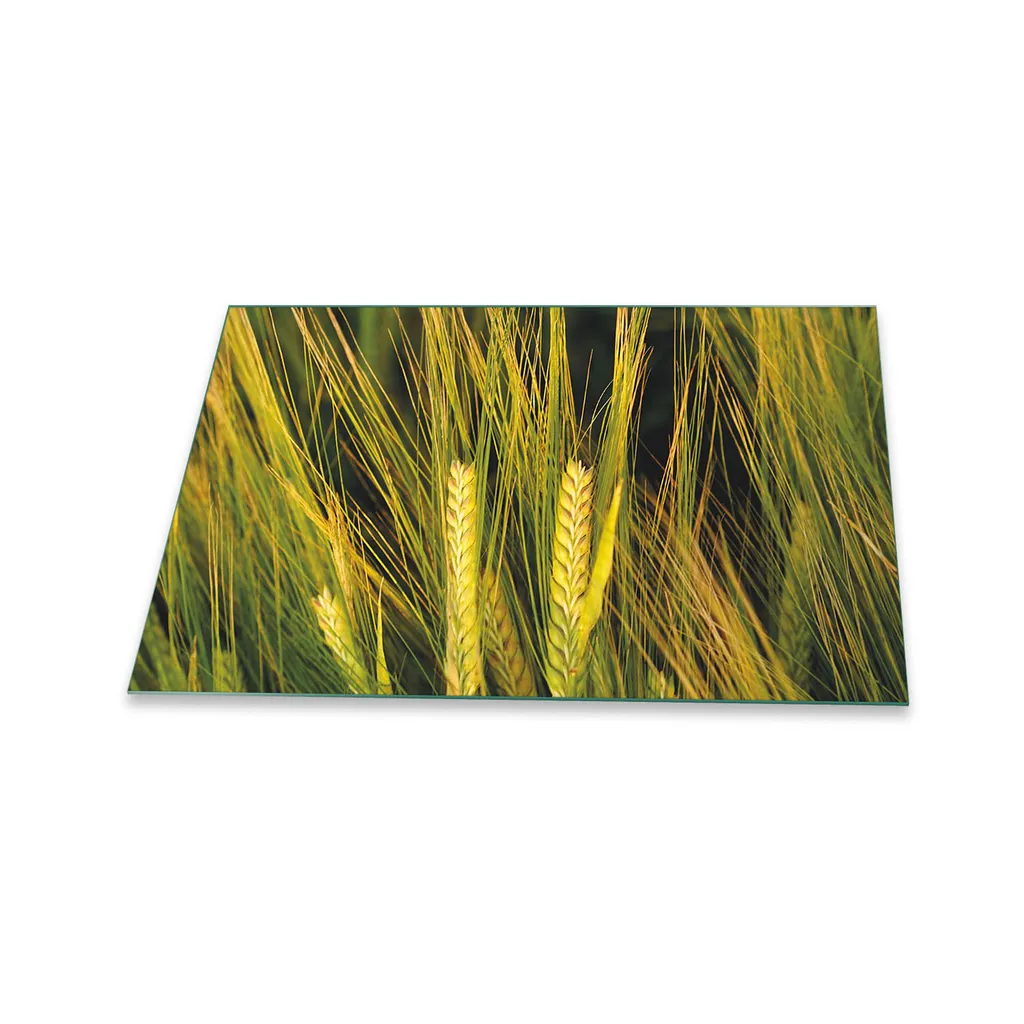 Copri Piano Cottura in Vetro 80x52 Sicuro per Bambini Verde