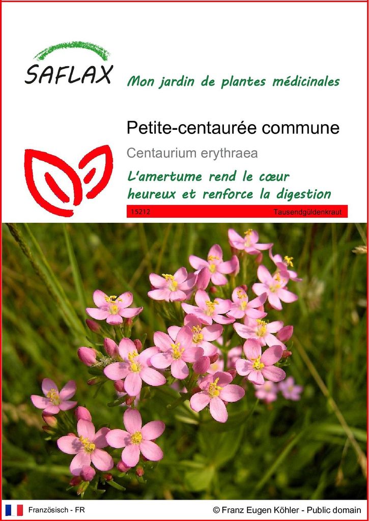 SAFLAX  - Petite-centaurée commune - 250 graines - Image du produit 