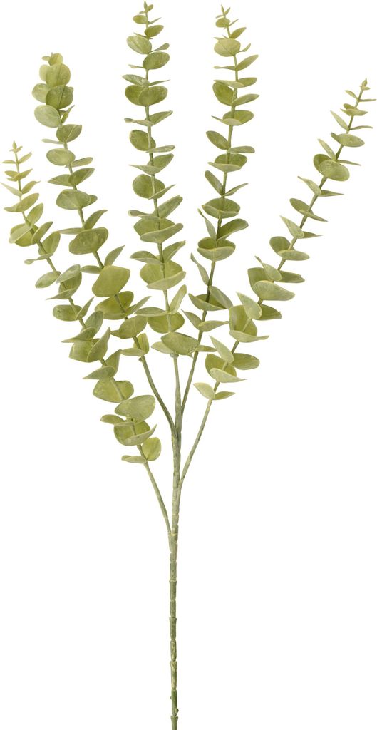 J-Line Eukalyptus Pvc Hellgrün