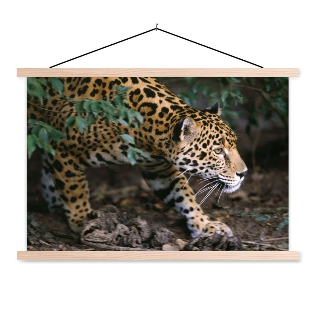 MuchoWow Textilposter Schleichender Jaguar im Wald 60x40 cm mit holzfarbenen Rahmen - Bilder