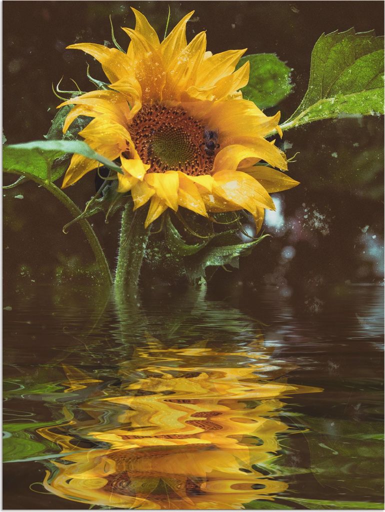 ARTland Wandbild Alu für Innen & Outdoor Sonnenblume mit Wasserspiegelung Größe: 60x80 cm