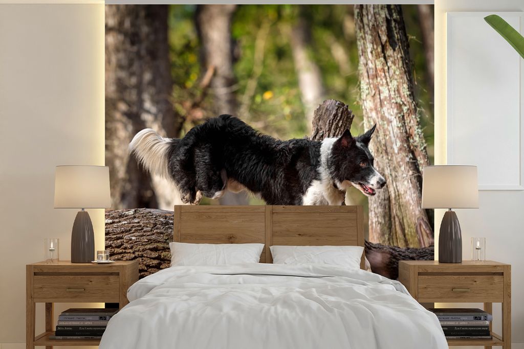 MuchoWow Fototapete für Wohnzimmer oder Schlafzimmer Wandtapete Vinyl Motivtapete Ein schwarz-weißer Border Collie springt über einen Baumstam...