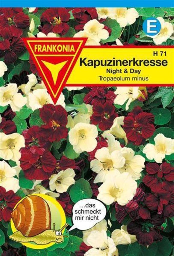 Kapuzinerkresse Night & Day