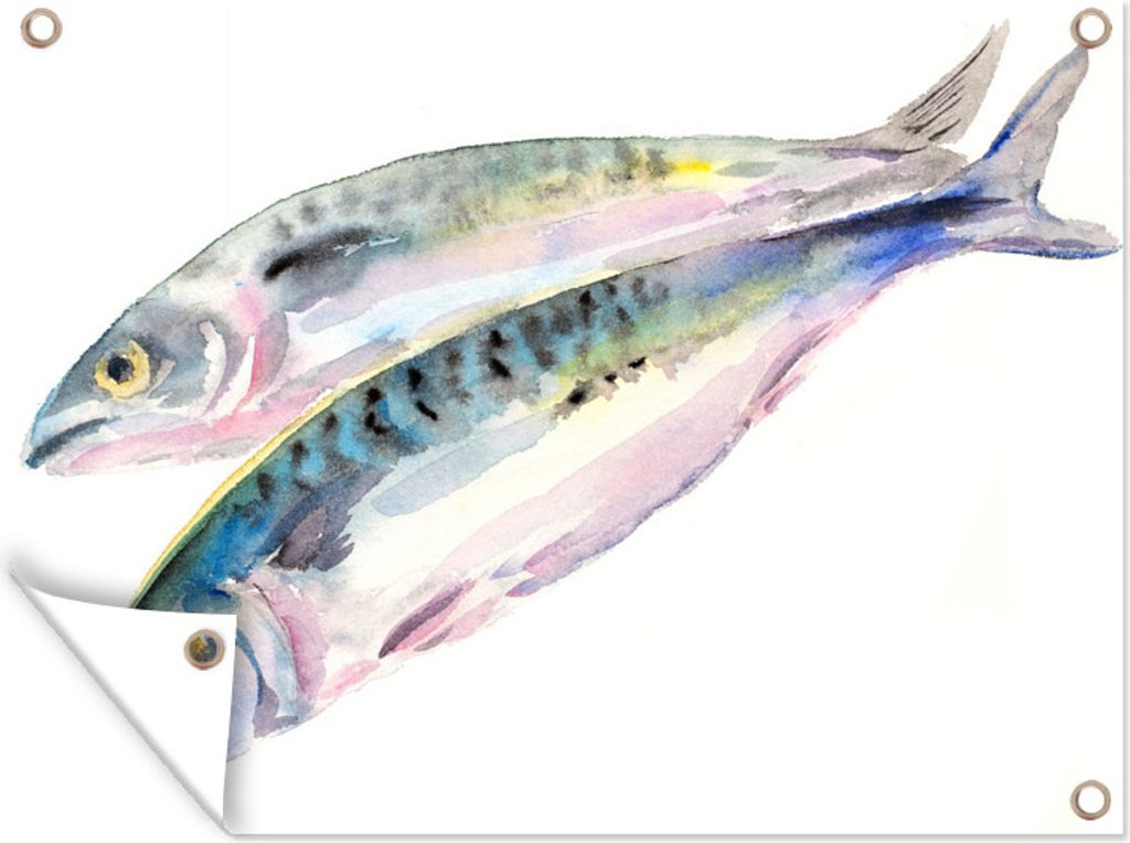 MuchoWow 80x60 cm Outdoor-Poster Gartendeko Sichtschutz Garten Poster für den Garten Eine Illustration von zwei Fischen