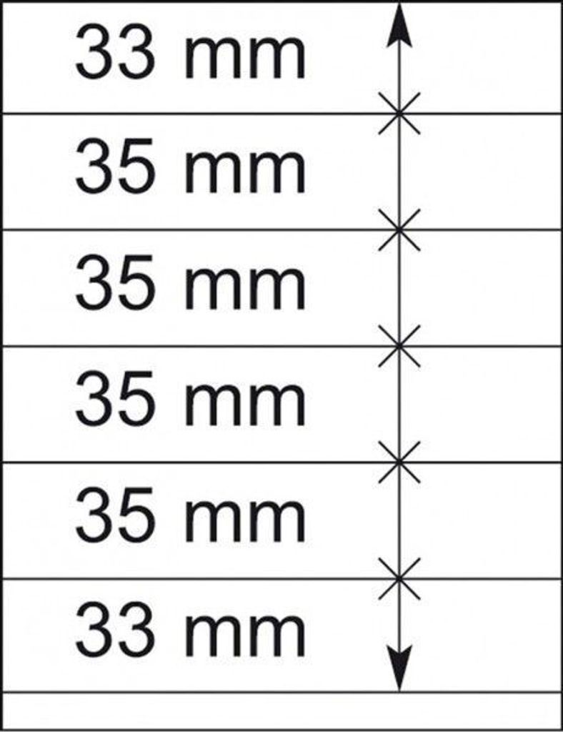 Lindner 802606P T-Blanko-Blätter - 10er-Packung