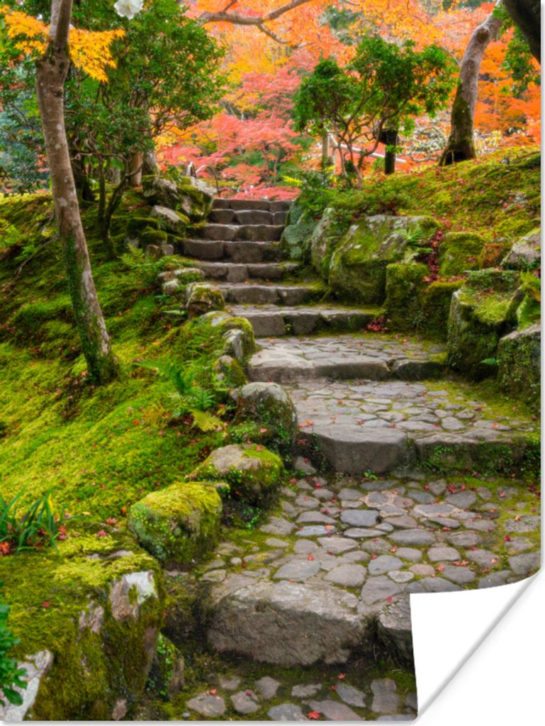 MuchoWow Poster Natur - Steine - Kröte - Moos - Japanisch 30x40 cm - Wandplakat - Poster Kinderzimmer