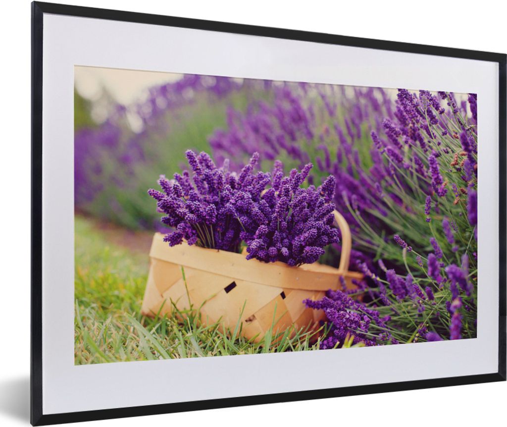 MuchoWow MuchoWow Gerahmtes Poster Frischer Lavendel in einem Korb 60x40 cm - Poster mit zchwarzem Bilderrahmen - Schlafzimmer - Plakat in Rahm...