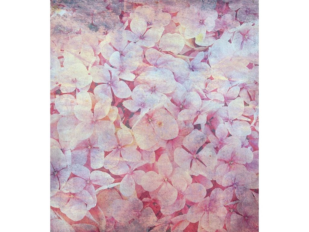 Fototapete - Apple Tree Abstract I 225x250cm - Vliestapete
