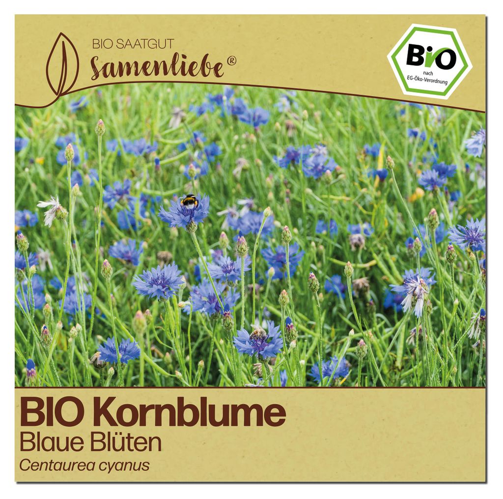 Samenliebe  Kornblume Samen | Blaue Blüten - zweijährig - Produktbild 