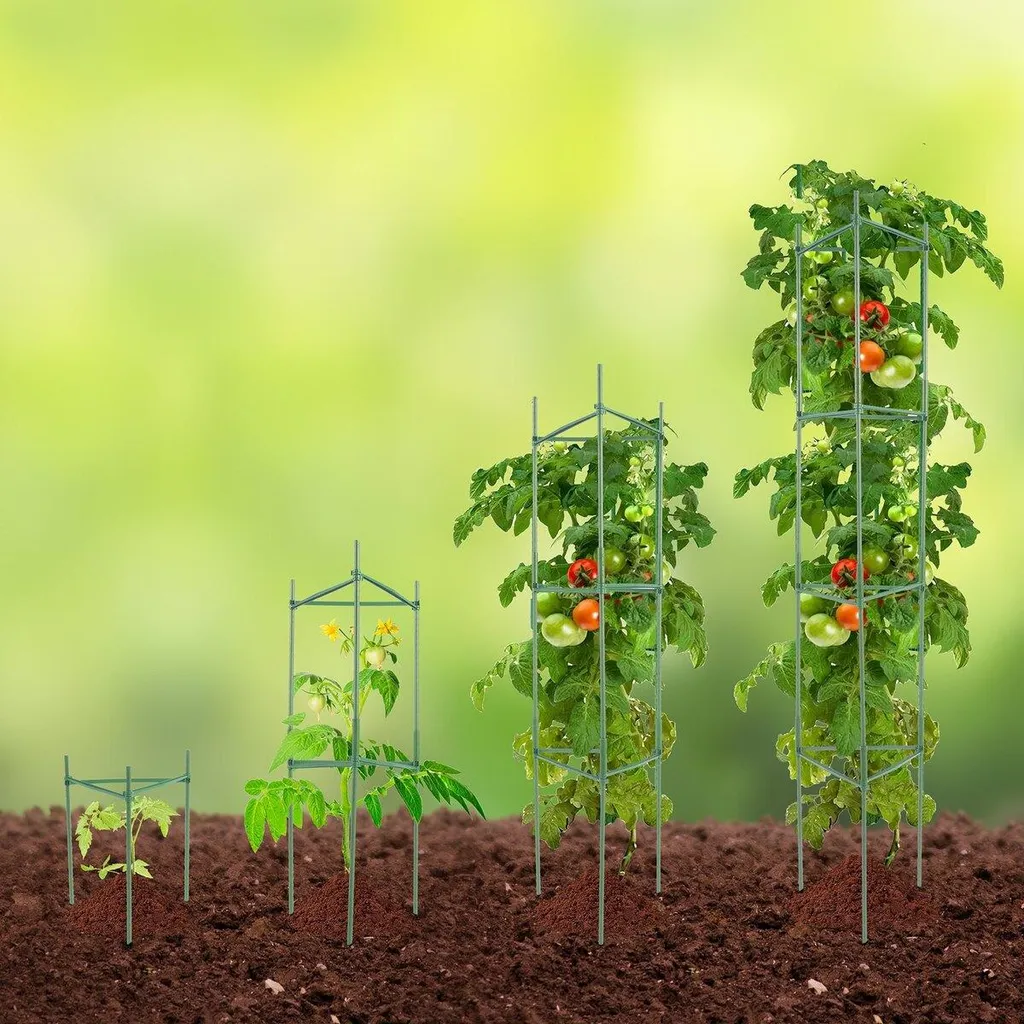 Supports pour Plants de Tomates 122 cm - Kit de 6 Tuteurs Verticaux XL - 8