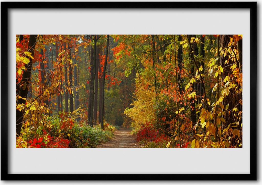 Bild 70x50 MDF-Rahmen Wandkunst Herbst Wald Natur