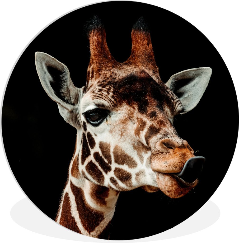MuchoWow Rundes Wandbild - Runde Bilder Giraffe - Tiere - Schwarz Ø 90 cm Kreis Wanddekoration Kunststoff - Wandkreis - Wandschmuck - Wand-Kreis...