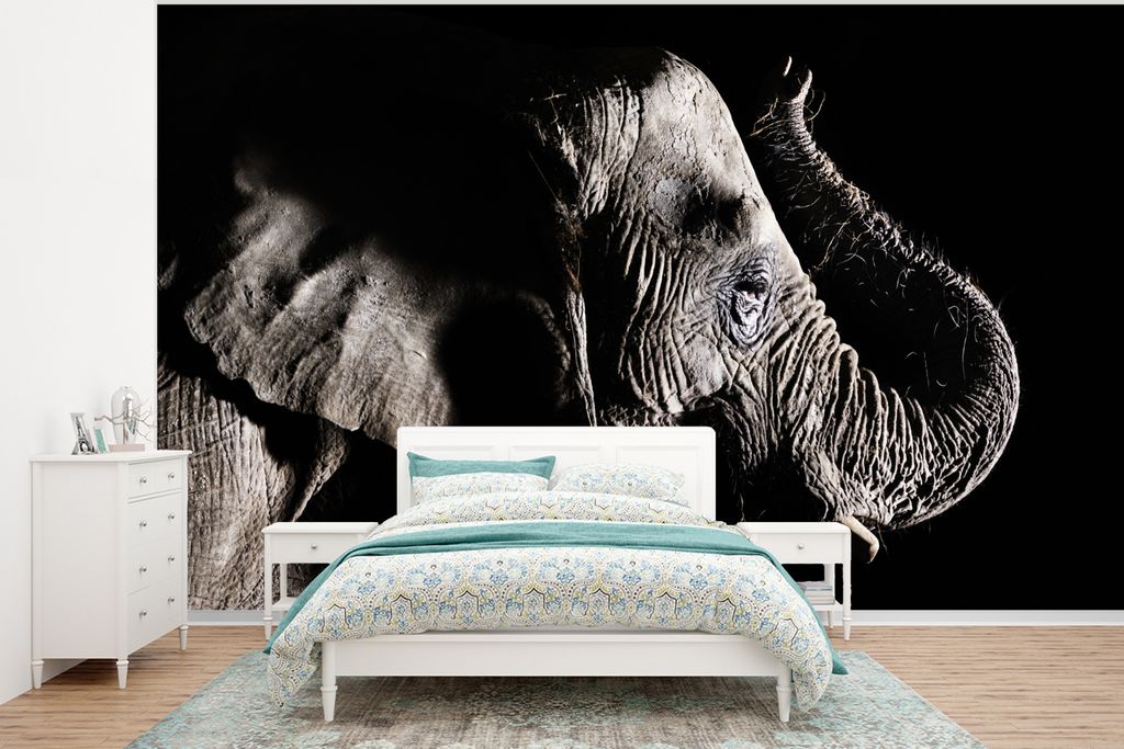 MuchoWow Fototapete für Wohnzimmer oder Schlafzimmer Wandtapete Vinyl Motivtapete Elefant mit erhobenem Rüssel auf schwarzem Hintergrund - 375x...