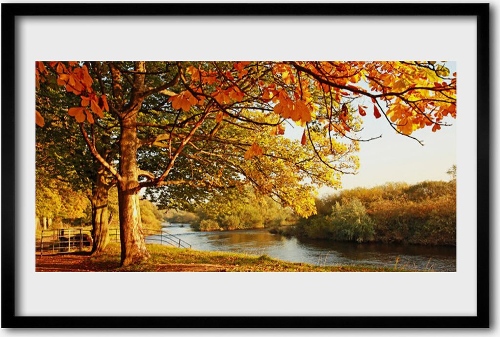 Bild 60x40 MDF-Rahmen Wandkunst Baum Natur See