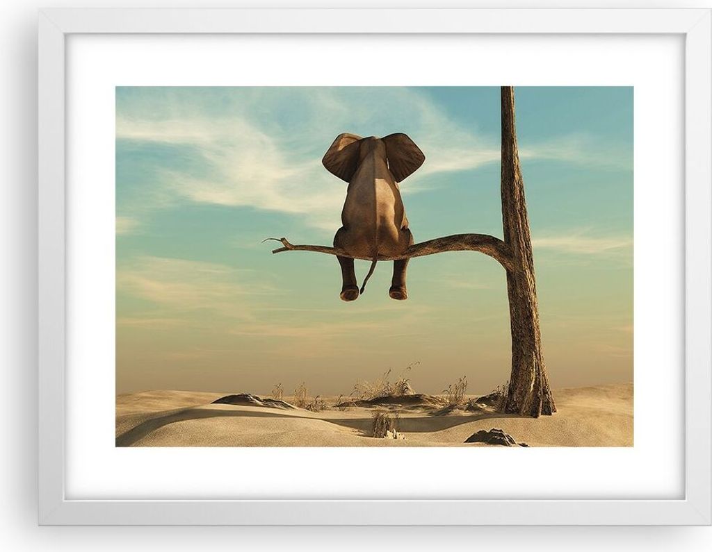 Gerahmtes Poster - Weißer Rahmen - Elefant sitzend Ast - 40x30 cm - Wand Bild - Wanddeko - Wandbilder - Kunstposter - Wandposter - Bilderrahmen - ...