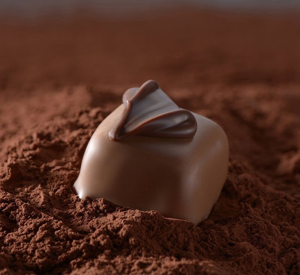 Lindt Pralines Hochfein z klasyczną, delikatną czekoladą Zdjęcie produktu 22