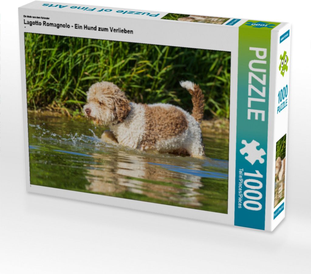 CALVENDO Puzzle Ein Motiv aus dem Kalender Lagotto Romagnolo - Ein Hund zum Verlieben | 1000 Teile Lege-Größe 64x48cm Foto-Puzzle für glücklich...