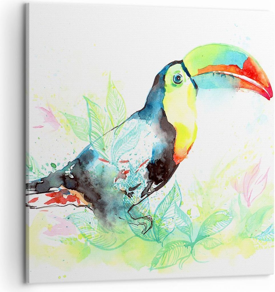 Bild auf Leinwand - Leinwandbild - Vogel Toucan Neugier wild - 50x50cm - Wand Bild - Wanddeko - Leinwanddruck - Bilder - Kunstdruck - Wanddekoratio...