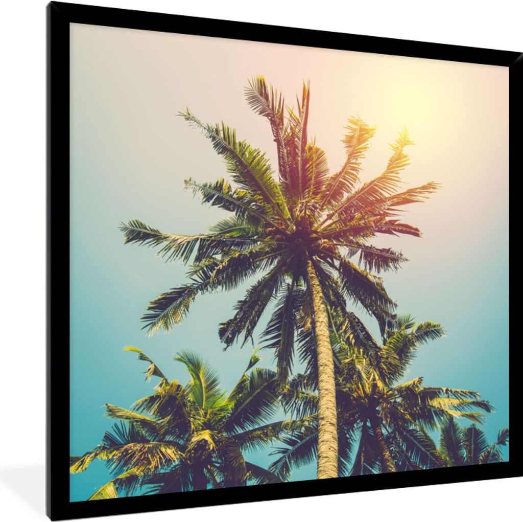 MuchoWow® Gerahmtes Poster Palme - Sommer - Tropisch - Produktbild 