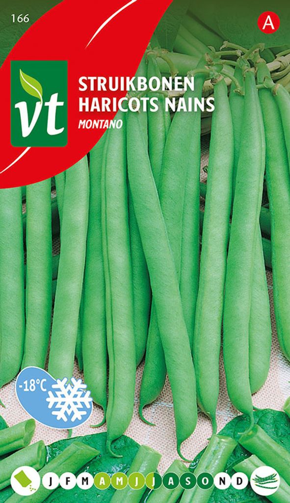 Semi di fagiolo verde Montano - Circa 50 gr | VT_166 Immagine del prodotto 