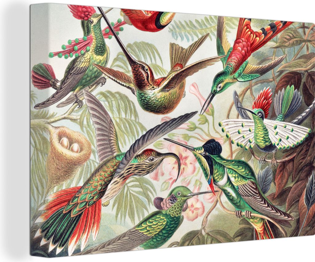 OneMillionCanvasses - Leinwandbilder - 140x90 cm, Kolibri - Vintage - Ernst Haeckel - Vogel - Kunst - Natur, Wandbilder Kunstdruck Wanddekoration...